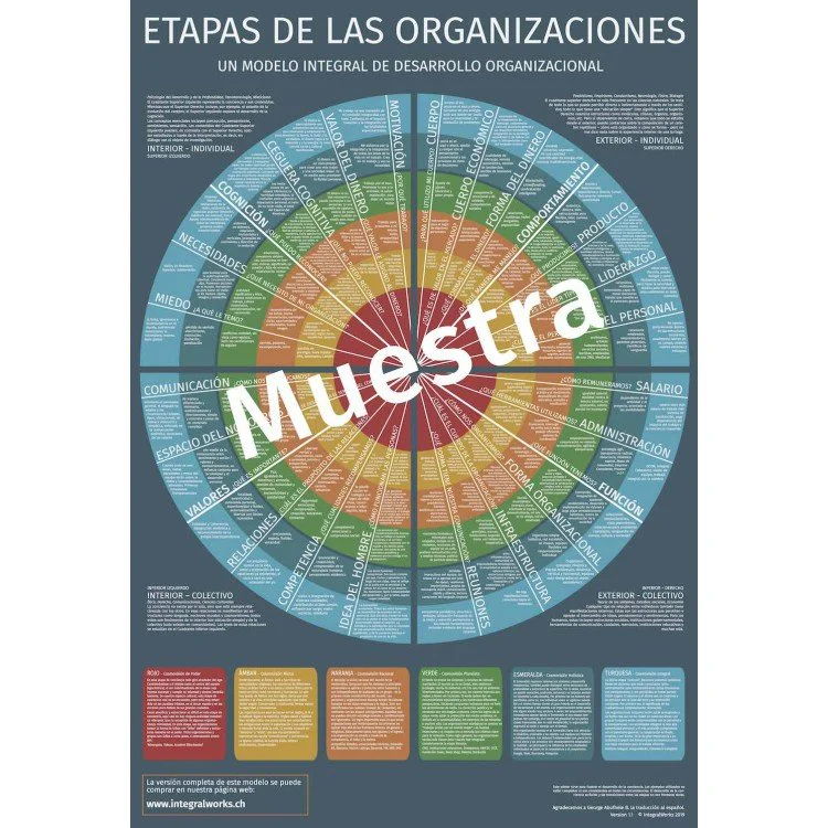 Etapas de las Organizaciones (Muestra) Etapas de las Organizaciones (Muestra)