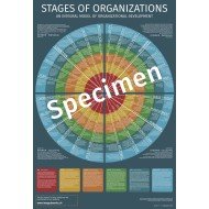 Stages of Organizations (Demo) Stages of Organizations (Demo)